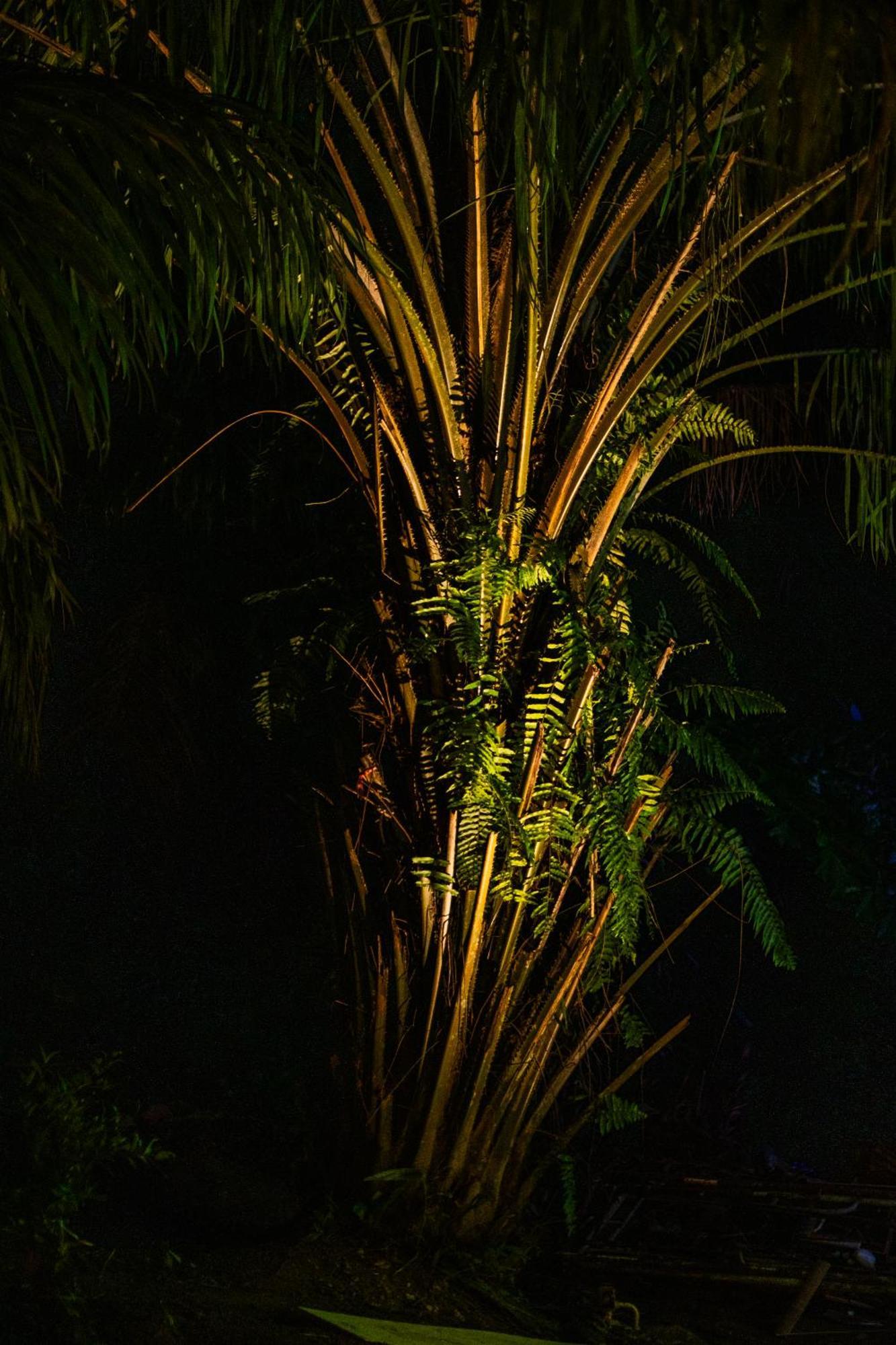 Leela Garden Resort Ban Nok Exteriér fotografie